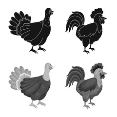 Vector illustration of breeding and kitchen logo. Collection of breeding and organic stock vector illustration.
