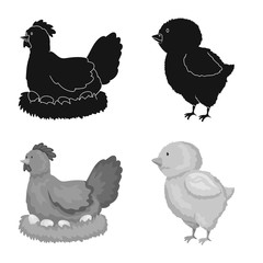 Isolated object of breeding and kitchen symbol. Collection of breeding and organic vector icon for stock.