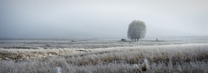winter landscape with trees and snow