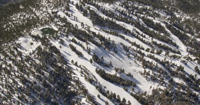 Aerial shot, day, high altitude view of snow and trees on big bear mountain range, drone