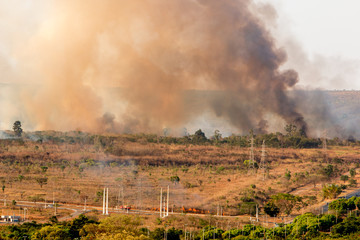 Fototapeta premium Wild Fires Burning out of control in the City Limits of the North Side of Brasilia.