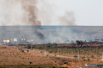 Wild Fires Burning out of control in the City Limits of the North Side of Brasilia.