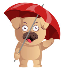 Pug with red umbrella, illustration, vector on white background.
