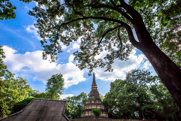 Natural background, large old pagoda (Wat Umong Suan Phutthatham), in Chiang Mai, is a famous tourist destination, tourists are always popular to make merit and see the beauty according to the seasons