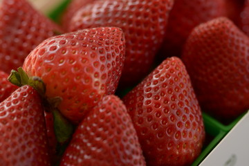 Fruits and Vegetables