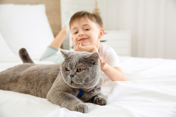 Little boy with cute cat in bedroom