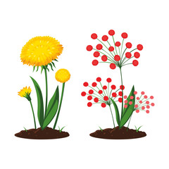 patch of houseplant in pot