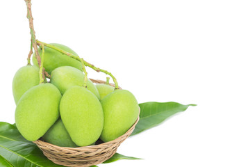 isolated raw green mango on white background