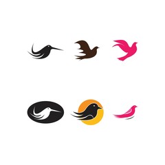 Bird Logo Template vector