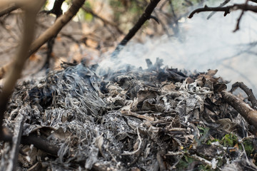 Close up of Smoke and ashes from  burning forests