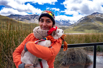 Mujer cargando una alpaca bebe en Perú, en medio de pastizales verdes