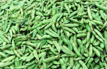close up on green soybean pod as food background