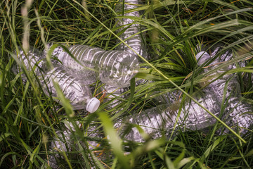 Plastic bottles in the green grass. Problem in the natural environment.