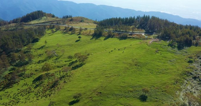 美ヶ原高原の牧場　空撮