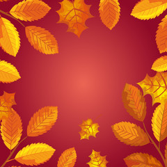 Fototapeta na wymiar background of leafs decorative autumn