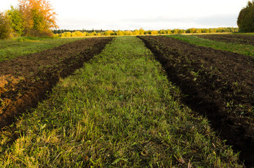 partially plowed garden, agriculture and countryside