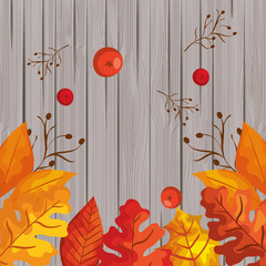 leafs and fruits autumn pattern background