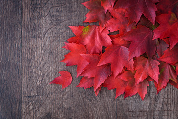 Naklejka na ściany i meble Fall background of red maple leaves spilled on a rustic wood background