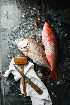 Fresh caught fish