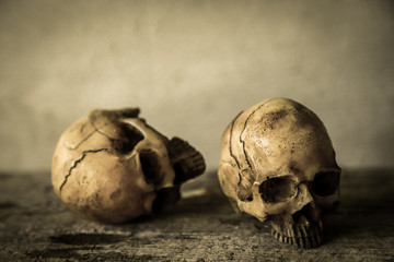 old skull in horror photo for Halloween 