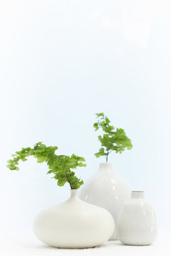 Still life of pottery vases with plants