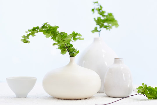 Still life of pottery vases with plants