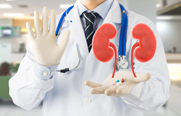 doctor check 3D kidney urology , kidney disease with medicine	