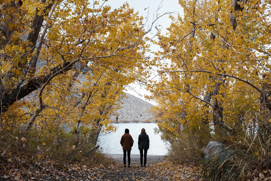 A mysterious young couple framed by autumn trees