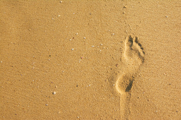 foot print on the sand