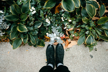 a black boots on a garden with green leaves