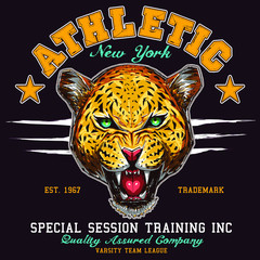 leopard illustration graphic design resource © hayr pictures