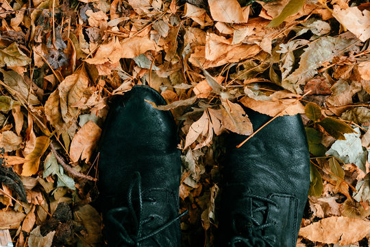 a black boots on a floor full of autumn leaves