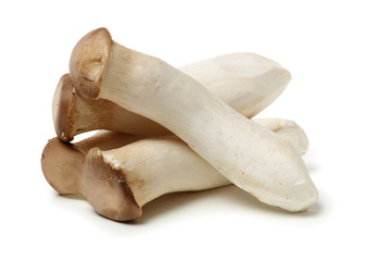 King oyster mushroom Pleurotus eryngii on white background 