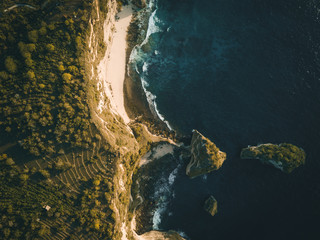 aerial view of tropical coastline in early morning light