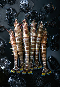 Fresh deep sea wild flower shrimp