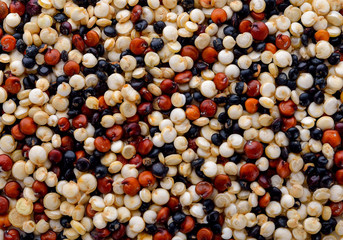 mixed red, white and black quinoa for background.