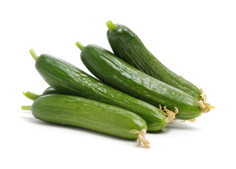 Lebanese Cucumber isolated on white background