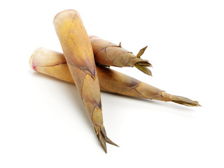 Bamboo shoot on the white background 