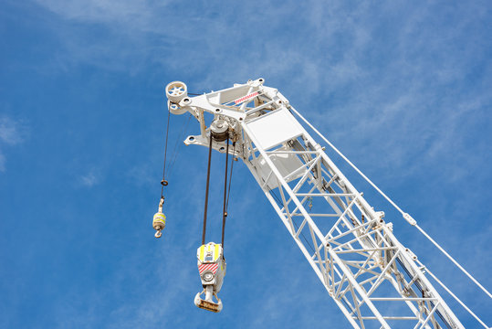 White Crane against blue skies