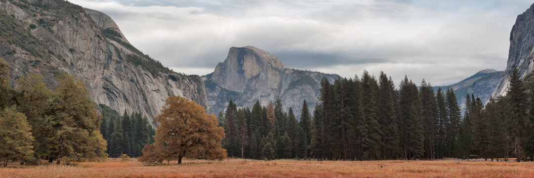 Valley views of Yosemite National Park