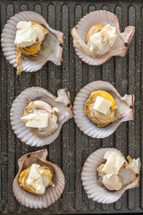 Fototapeta premium Close up photo of fresh scallops on electric grilling pan