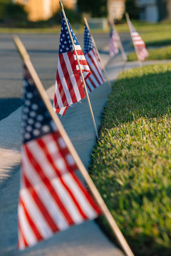 American flags on lawn.
