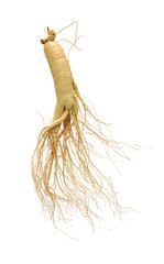 ginseng isolated on white background