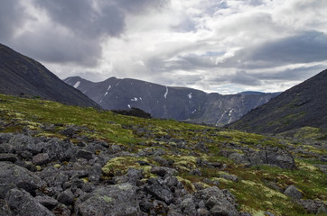 Fototapeta na wymiar Mountain tundra with mosses and rocks covered with lichens, Hibiny mountains above the Arctic circle, Kola peninsula, Russia