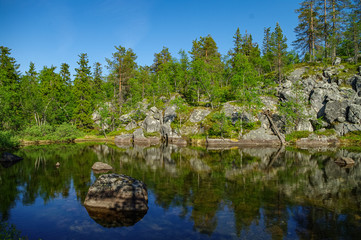 Trees and stones reflection on little lake on mountain Vottovaara, Karelia, Russia