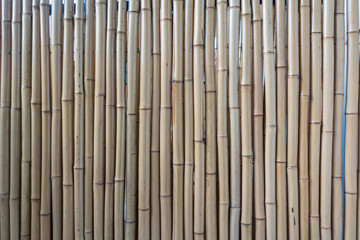 background texture of thin bamboo sticks lining up together.