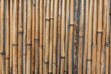 background texture of thin bamboo sticks lining up together.