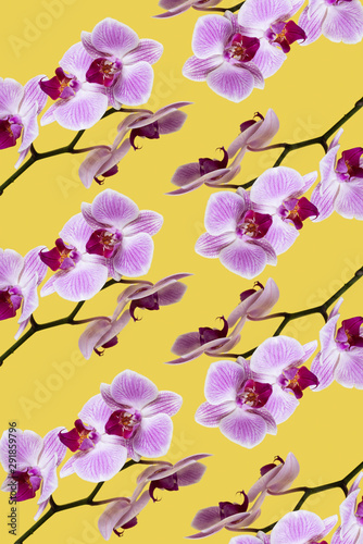 mosaic of pink orchids