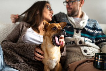 Young couple relaxing at home