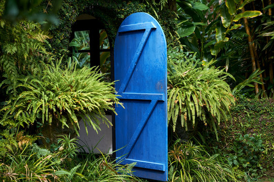 The fairy tale blue door in the rainforest, beautiful scenery in Sri Lanka.